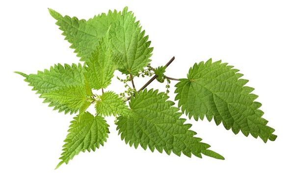 Prostovit will get the nettle extract